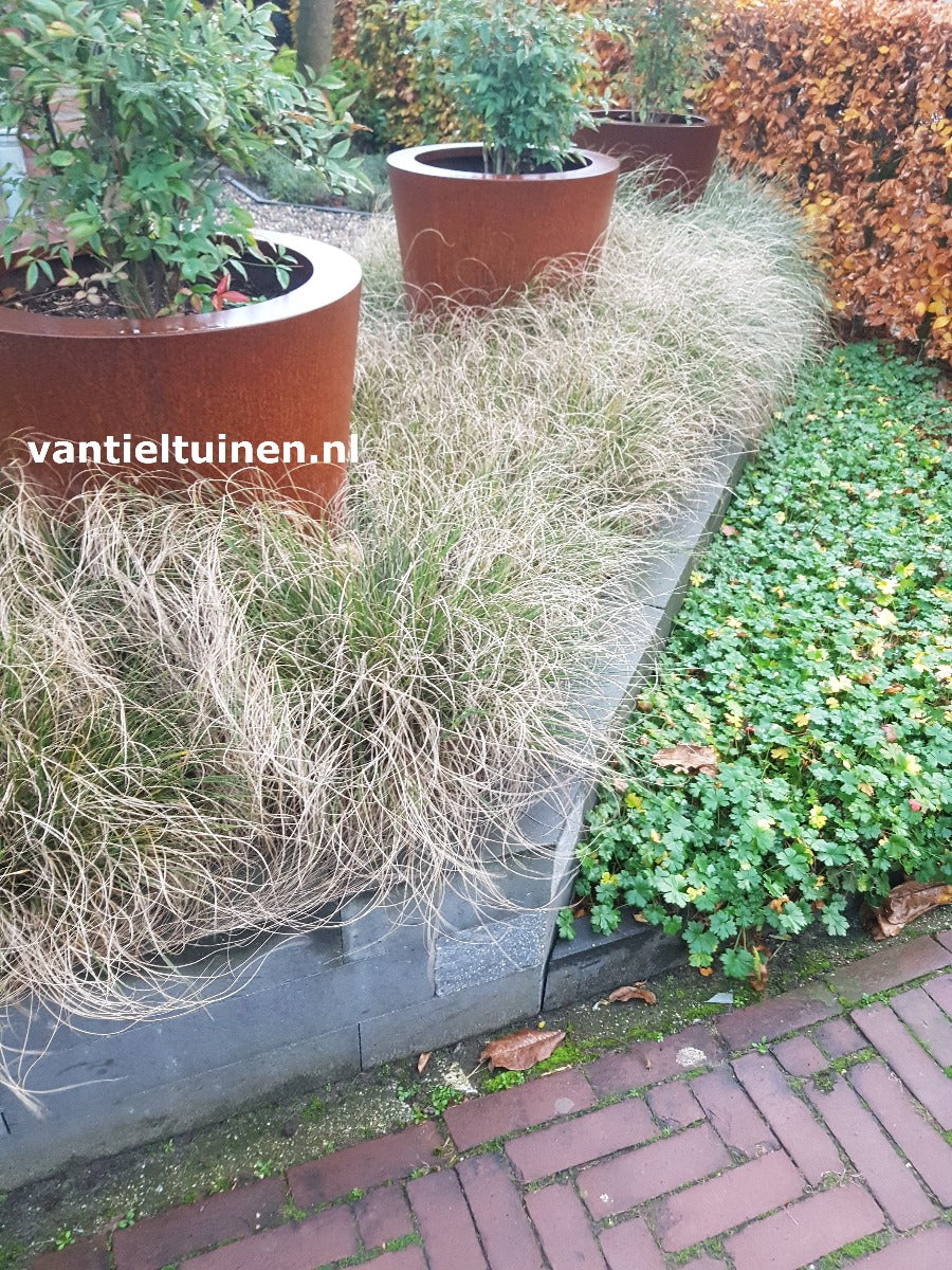 Conic ronde plantenbak cortenstaal