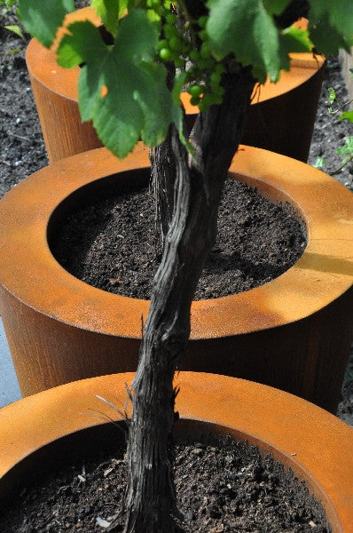 Conic ronde plantenbak cortenstaal