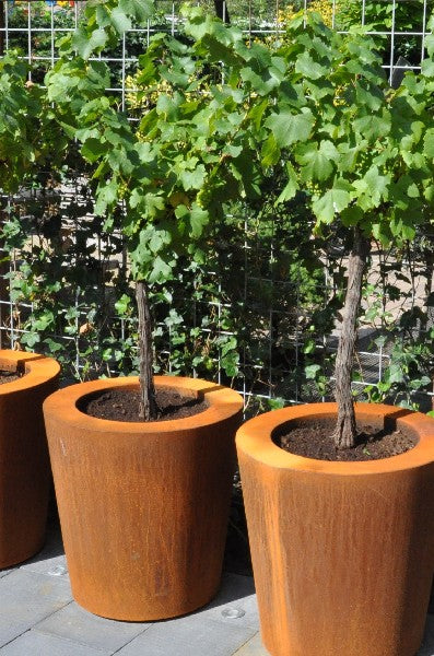 Conic ronde plantenbak cortenstaal
