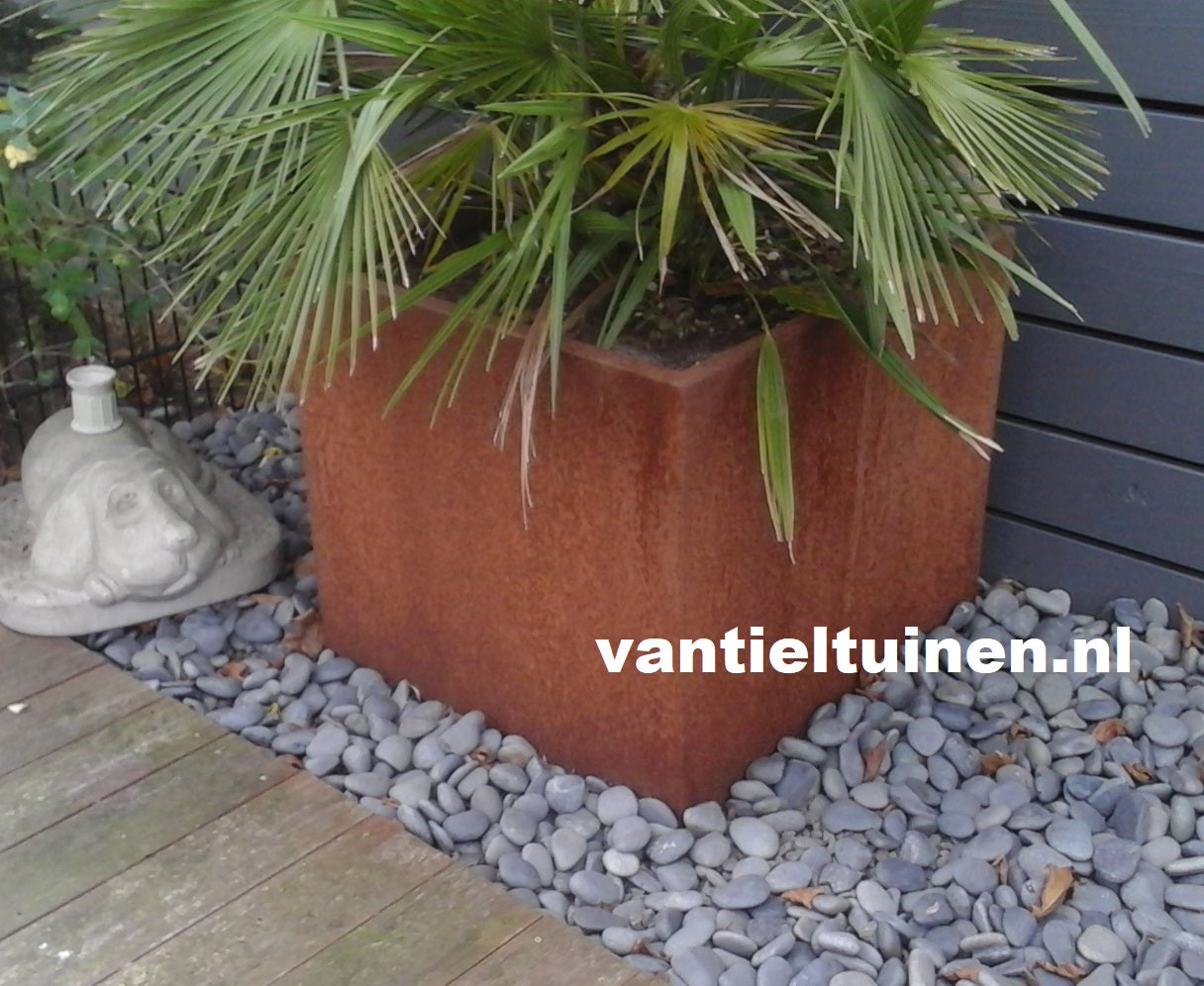 Plantenbak zonder bodem van cortenstaal maat 100x100x40cm LxBxH